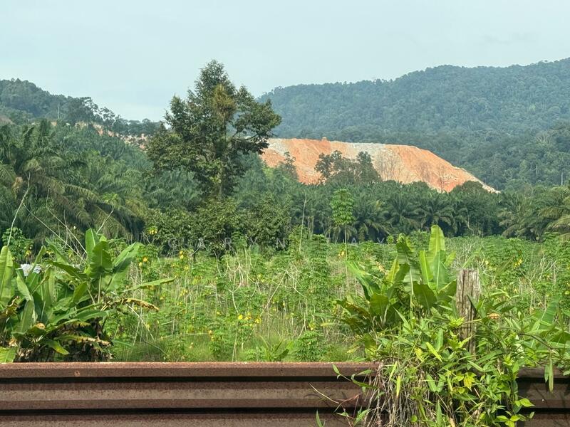Agricultural Land for Sale in Kangkar Pulai (Skudai) - Caryn Tay - Exterior - PropertyGuru.com.my