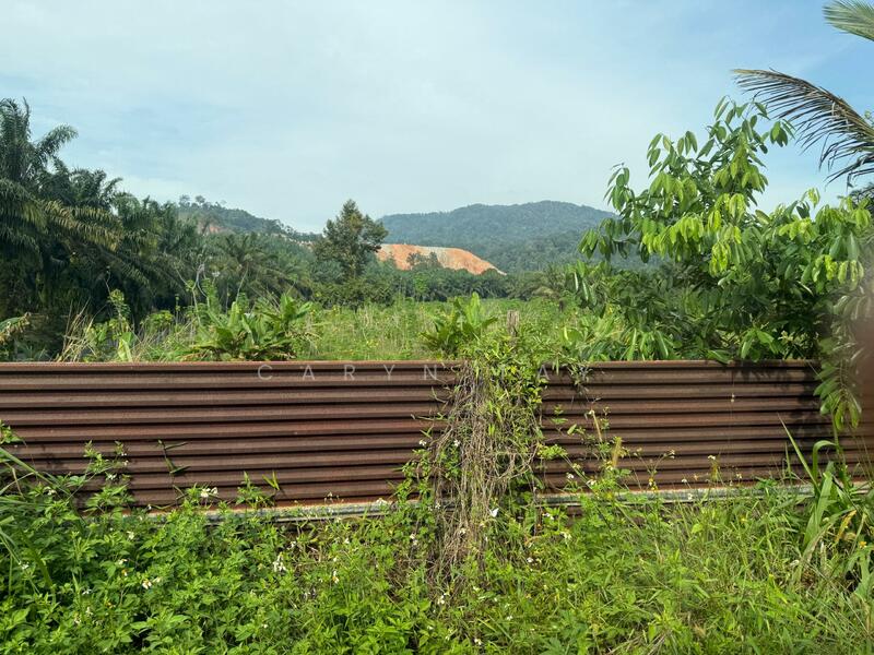 Agricultural Land for Sale in Kangkar Pulai (Skudai) - Caryn Tay - Exterior - PropertyGuru.com.my