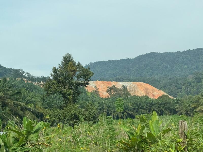 Agricultural Land for Sale in Kangkar Pulai (Skudai) - Caryn Tay - Exterior - PropertyGuru.com.my