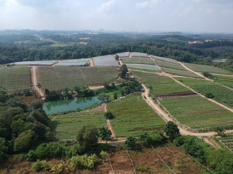 Agricultural Land for Sale in Kampung Baru Seelong (Senai) - Nelson Tan - Garden - PropertyGuru.com.my