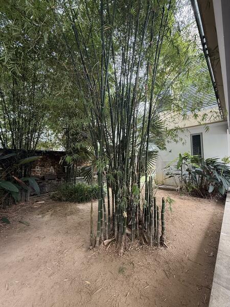 Lorong Gurney untuk Untuk Dijual - RM 10,500,000, Feb 2026 - Exterior - PropertyGuru.com.my