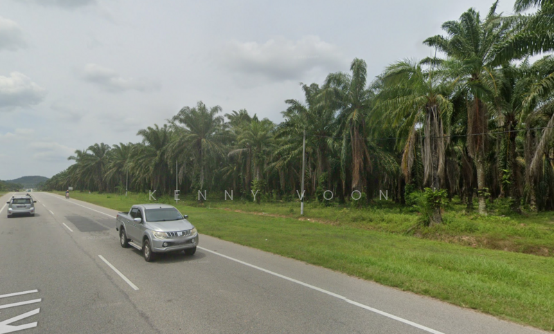 For Sale - Pokok Sena