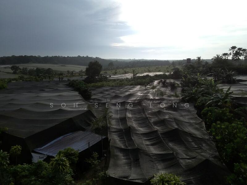 Agricultural Land for Sale in Ulu Tiram (Johor) - Soh Seng Long - Exterior - PropertyGuru.com.my