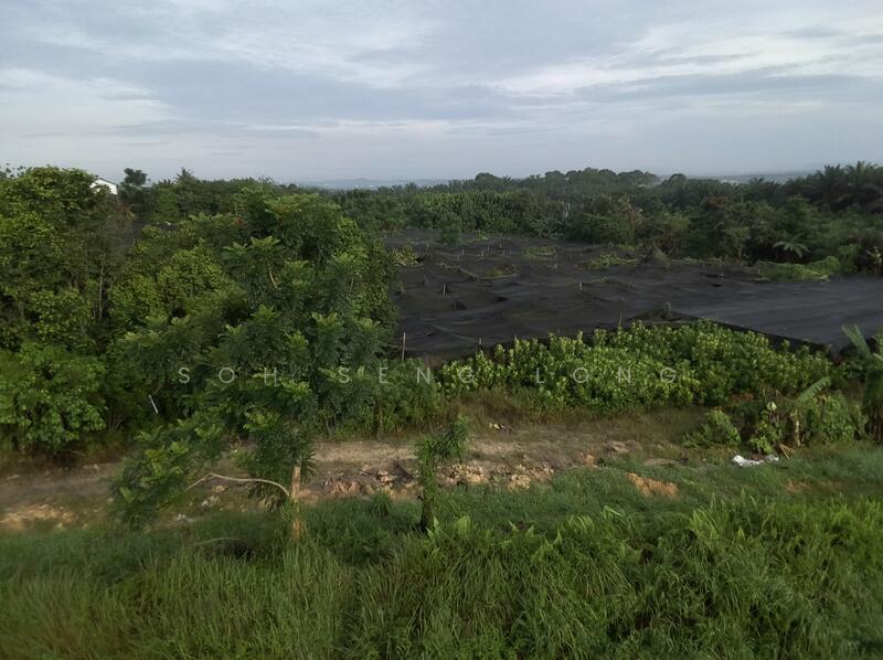 Agricultural Land for Sale in Ulu Tiram (Johor) - Soh Seng Long - Exterior - PropertyGuru.com.my