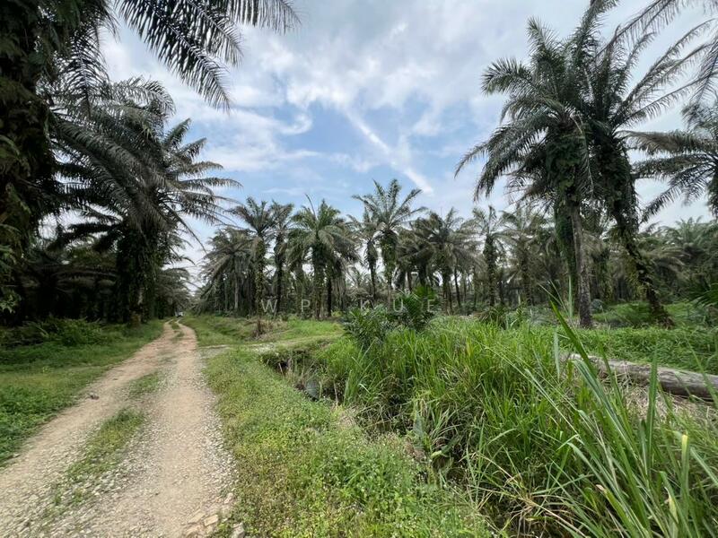 Jenjarom untuk Untuk Dijual - RM 1,599,000, Feb 2026 - Exterior - PropertyGuru.com.my