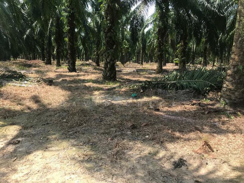 Residential Development Land//10 acres//Port Dickson, Negeri Sembilan untuk Untuk Dijual - RM 11,325,600, Feb 2026 - Exterior - PropertyGuru.com.my