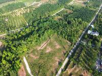 For Sale - Gopeng Ipoh Country Park