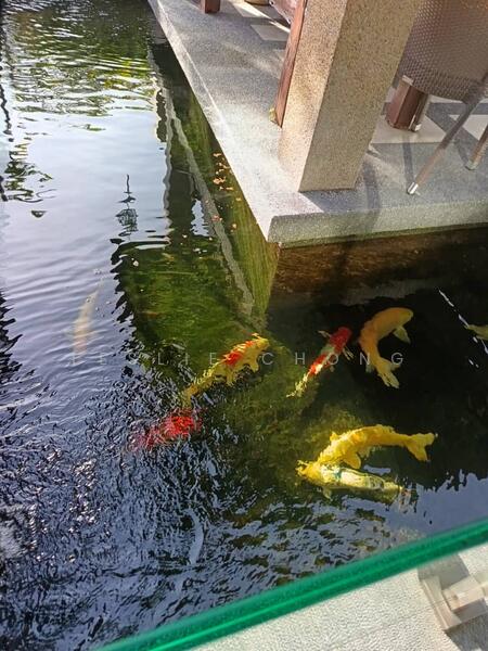 Untuk Dijual - Saujana Duta @ Seremban 2 (Semi-D)