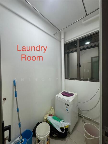 For Rent - Tree Sparina