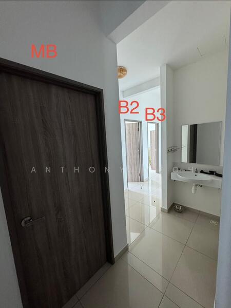 For Rent - Tree Sparina