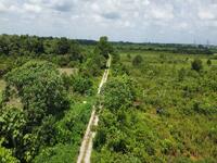 For Sale - Sabak Bernam