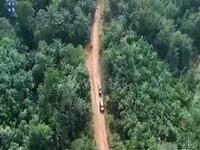 For Sale - Huge Agriculture Land At Rompin Pahang For Sale