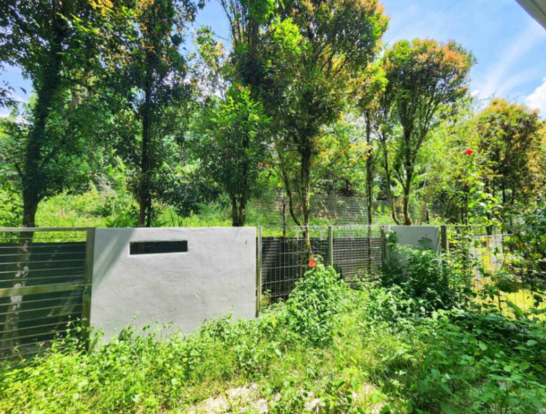 Reed untuk Untuk Disewa - RM 5,500 /bulan, Mac 2026 - Exterior - PropertyGuru.com.my