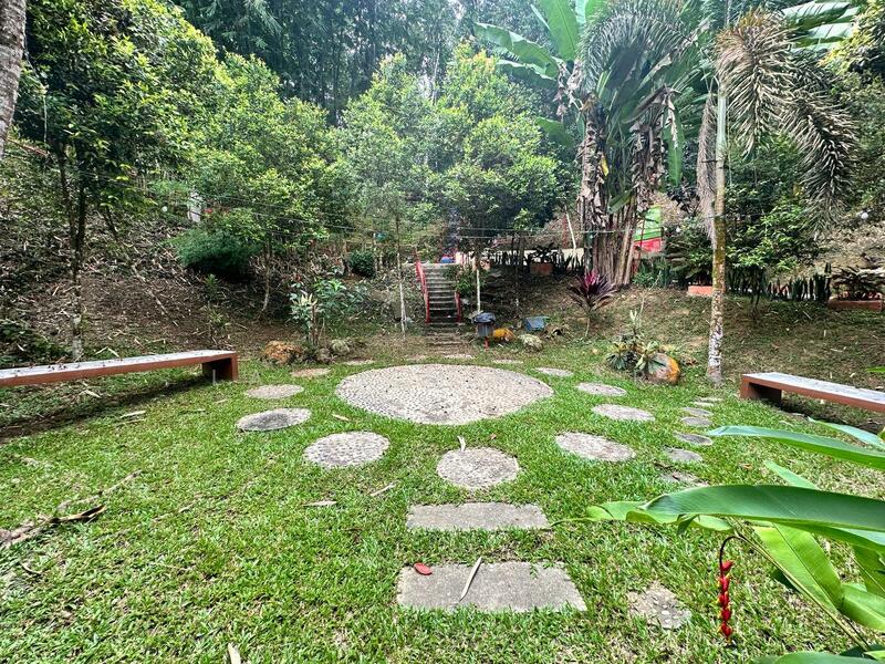 Agricultural Land for Sale in Ulu Yam (Selangor) - Laili Mihdar - Garden - PropertyGuru.com.my