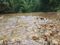 For Sale - Tanah Tepi Sungai Hulu Rening Batang Kali