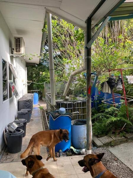 Rain water harvesting