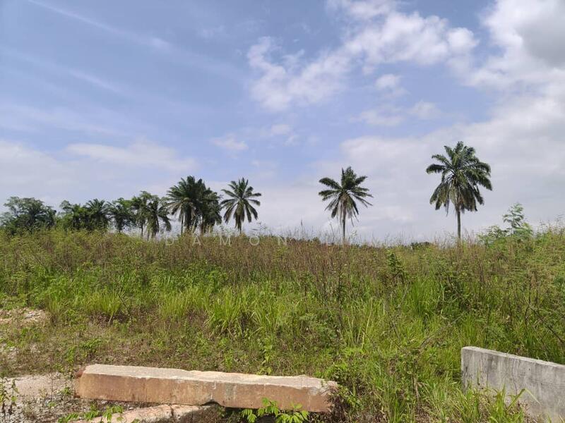 Industrial Land for Sale in Senai (Johor) - Damon Lim - Exterior - PropertyGuru.com.my