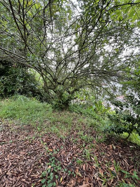 Johor Bahru untuk Untuk Dijual - RM 2,600,000, Feb 2026 - Garden - PropertyGuru.com.my