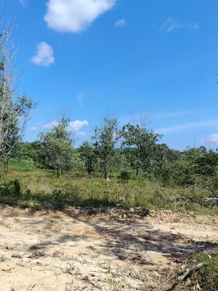 Industrial Land for Sale in Kampung Sungai Lalang (Semenyih) - Terry Chen - Exterior - PropertyGuru.com.my