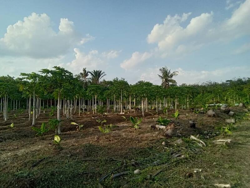 ALOR GAJAH, KAMPUNG PADANG MELEKEK untuk Untuk Dijual - RM 260,000, Feb 2026 - Garden - PropertyGuru.com.my