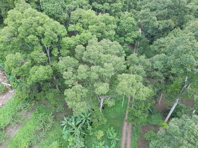 Agricultural Land for Sale in Lenggong (Perak) - Teh Guan Fong - Exterior - PropertyGuru.com.my