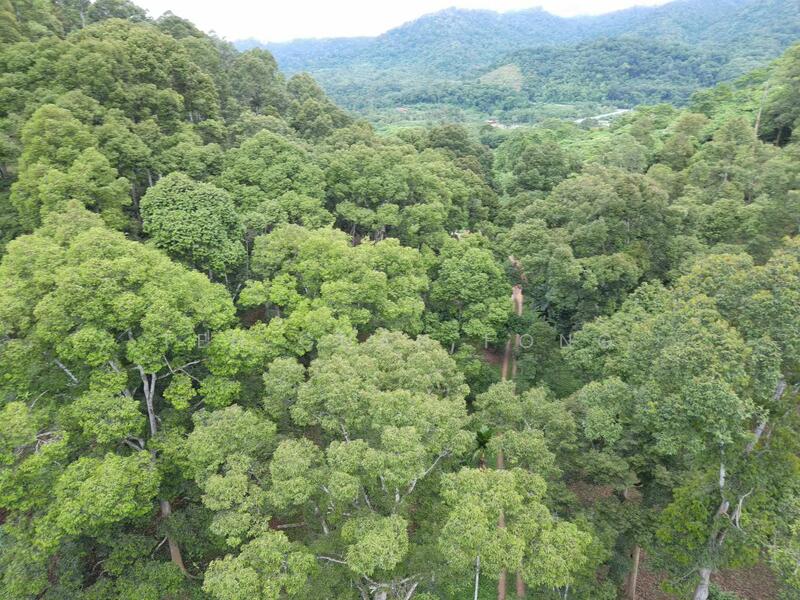 Agricultural Land for Sale in Lenggong (Perak) - Teh Guan Fong - Exterior - PropertyGuru.com.my