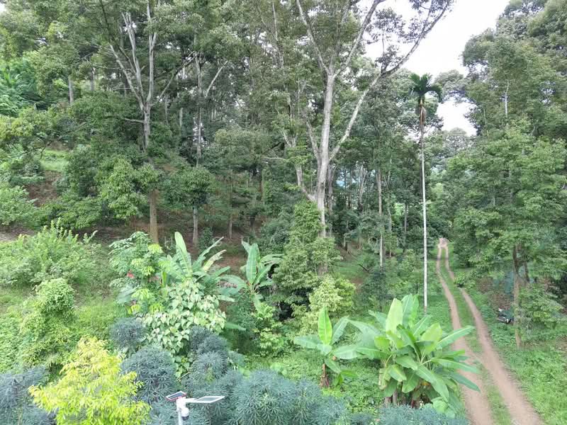 Agricultural Land for Sale in Lenggong (Perak) - Teh Guan Fong - Exterior - PropertyGuru.com.my