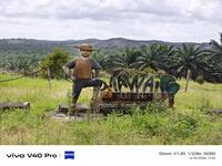 For Sale - 83 Acres Eco Tourism Farm In Kota Tinggi For Sales