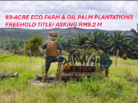 For Sale - 83 Acres Eco Tourism Farm In Kota Tinggi For Sales