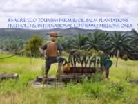For Sale - 83 Acres Eco Tourism Farm In Kota Tinggi For Sales