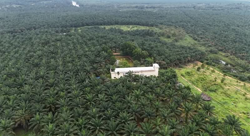 Tanah Pertanian untuk Dijual di Kota Tinggi (Johor) - K S Ong - Exterior - PropertyGuru.com.my