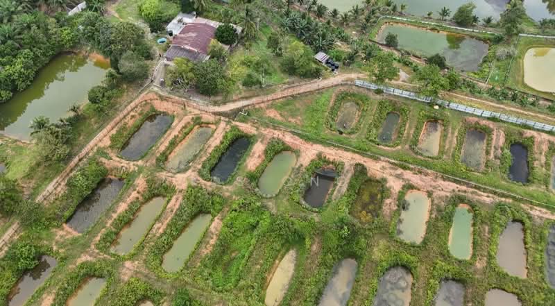 Tanah Pertanian untuk Dijual di Kota Tinggi (Johor) - K S Ong - Exterior - PropertyGuru.com.my