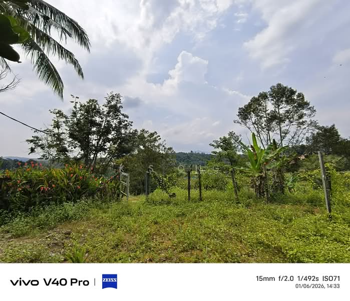 Tanah Pertanian untuk Dijual di Kota Tinggi (Johor) - K S Ong - Exterior - PropertyGuru.com.my