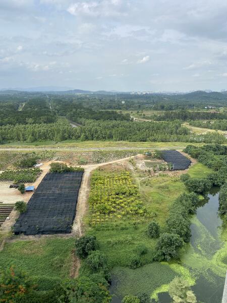 Starview Bay @ Forest City untuk Untuk Disewa - RM 1,300 /bulan, Apr 2026 - PropertyGuru.com.my