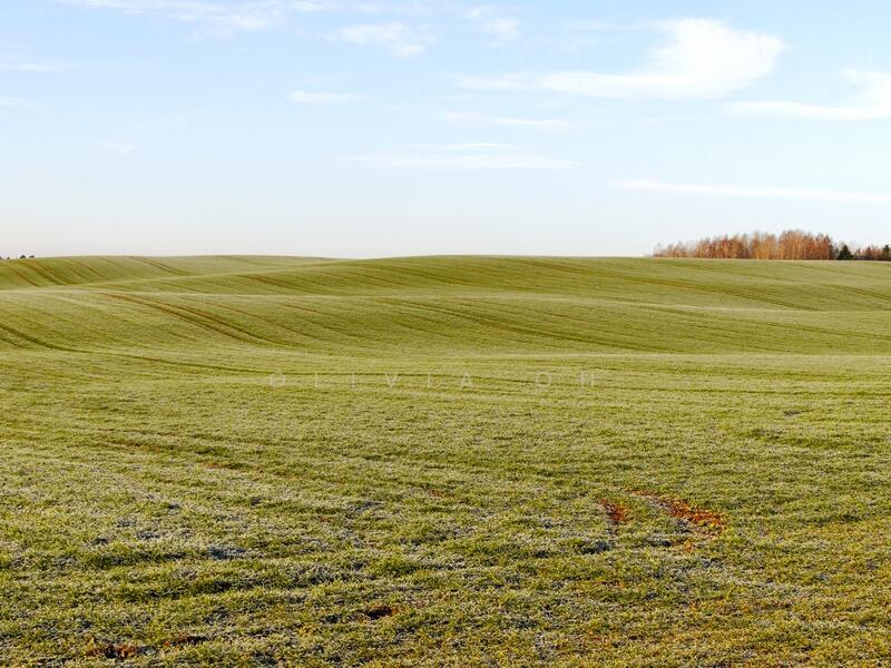 Seremban 2 untuk Untuk Disewa - RM 8,000 /bulan, Mac 2026 - Exterior - PropertyGuru.com.my