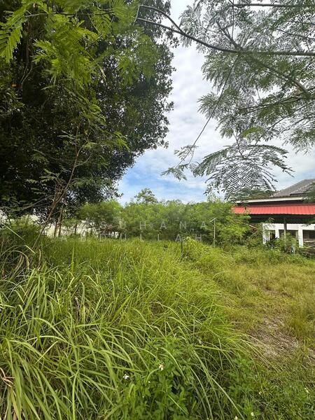 Untuk Dijual - Sungai Merab