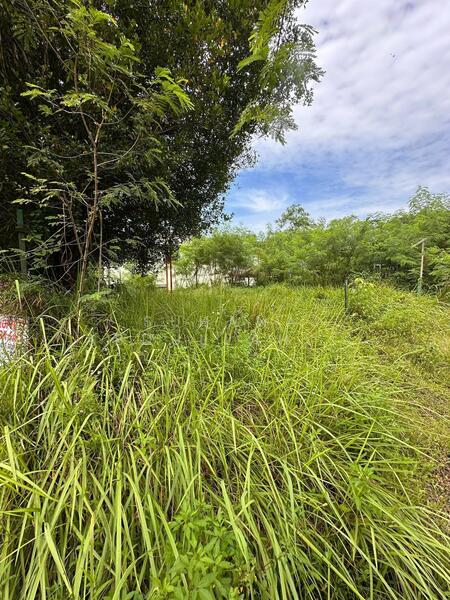 Untuk Dijual - Sungai Merab