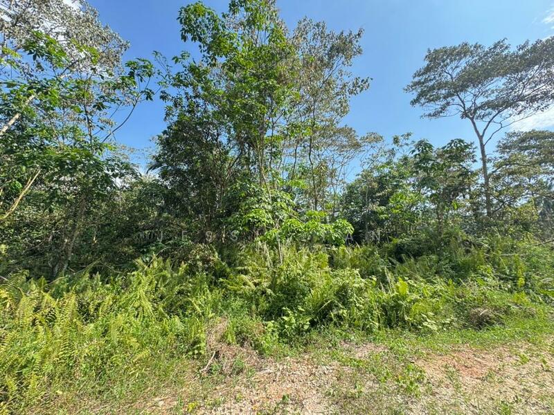 Agricultural Land for Sale in Skudai (Johor) - Jessie Tan - Exterior - PropertyGuru.com.my