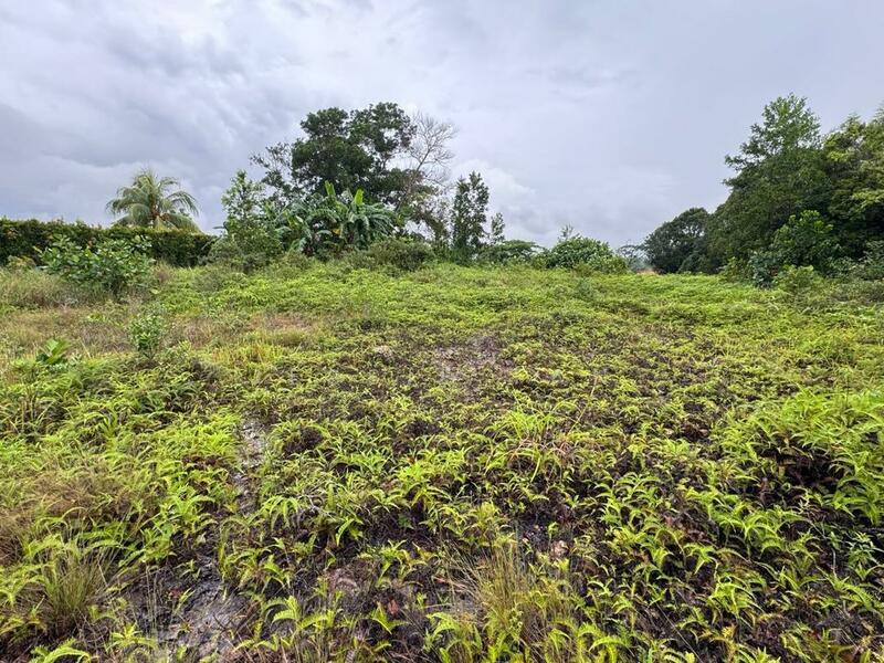 Agricultural Land for Sale in Skudai (Johor) - Jessie Tan - Garden - PropertyGuru.com.my