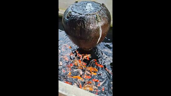 VILLA MUTIARA untuk Untuk Dijual - RM 4,700,000, Mac 2026 - PropertyGuru.com.my