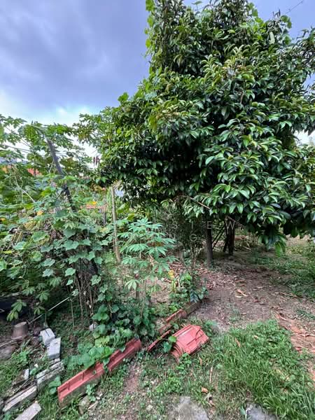 Semi-Detached House for Sale in Petaling Jaya (Selangor) - Wang Siew Cheng - Garden - PropertyGuru.com.my