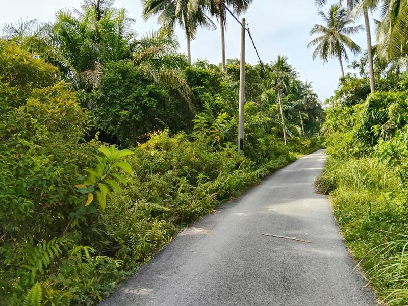 Agricultural Land for Sale in Balik Pulau (Penang) - Alex Loh - Exterior - PropertyGuru.com.my