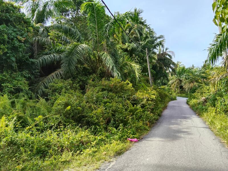 Agricultural Land for Sale in Balik Pulau (Penang) - Alex Loh - Exterior - PropertyGuru.com.my