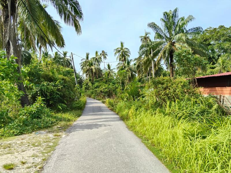 Agricultural Land for Sale in Balik Pulau (Penang) - Alex Loh - Exterior - PropertyGuru.com.my