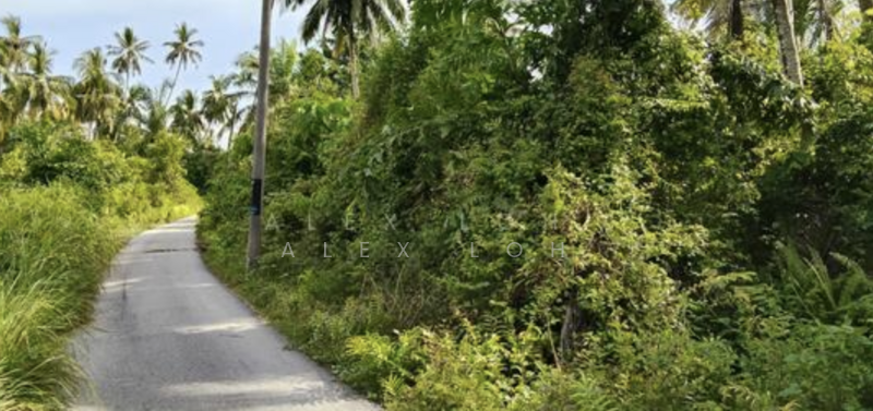 Agricultural Land for Sale in Balik Pulau (Penang) - Alex Loh - Exterior - PropertyGuru.com.my