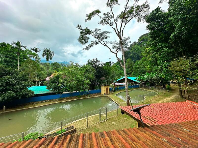 Agricultural Land for Sale in Bentong (Pahang) - Laili Mihdar - Exterior - PropertyGuru.com.my