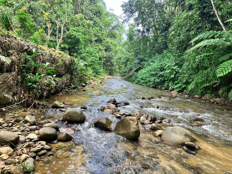 Agricultural Land for Sale in Bentong (Pahang) - Laili Mihdar - Exterior - PropertyGuru.com.my