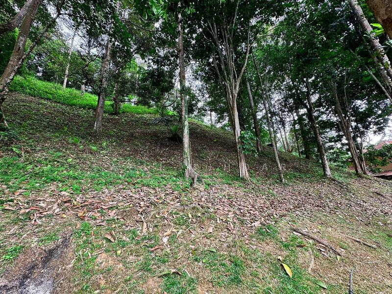 Agricultural Land for Sale in Bentong (Pahang) - Laili Mihdar - Exterior - PropertyGuru.com.my