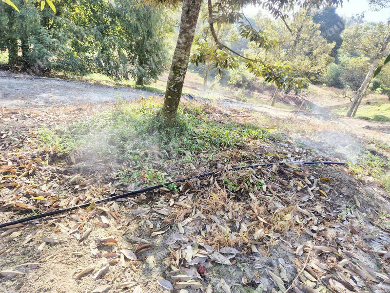 Agricultural Land for Sale in Kulim (Kedah) - Teh Guan Fong - Garden - PropertyGuru.com.my