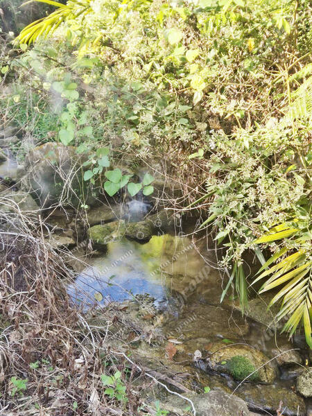 Agricultural Land for Sale in Kulim (Kedah) - Teh Guan Fong - Exterior - PropertyGuru.com.my